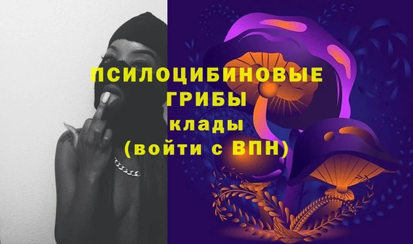 ГАЛЛЮЦИНОГЕННЫЕ ГРИБЫ Нязепетровск