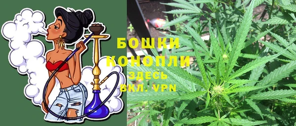 ГАЛЛЮЦИНОГЕННЫЕ ГРИБЫ Нязепетровск