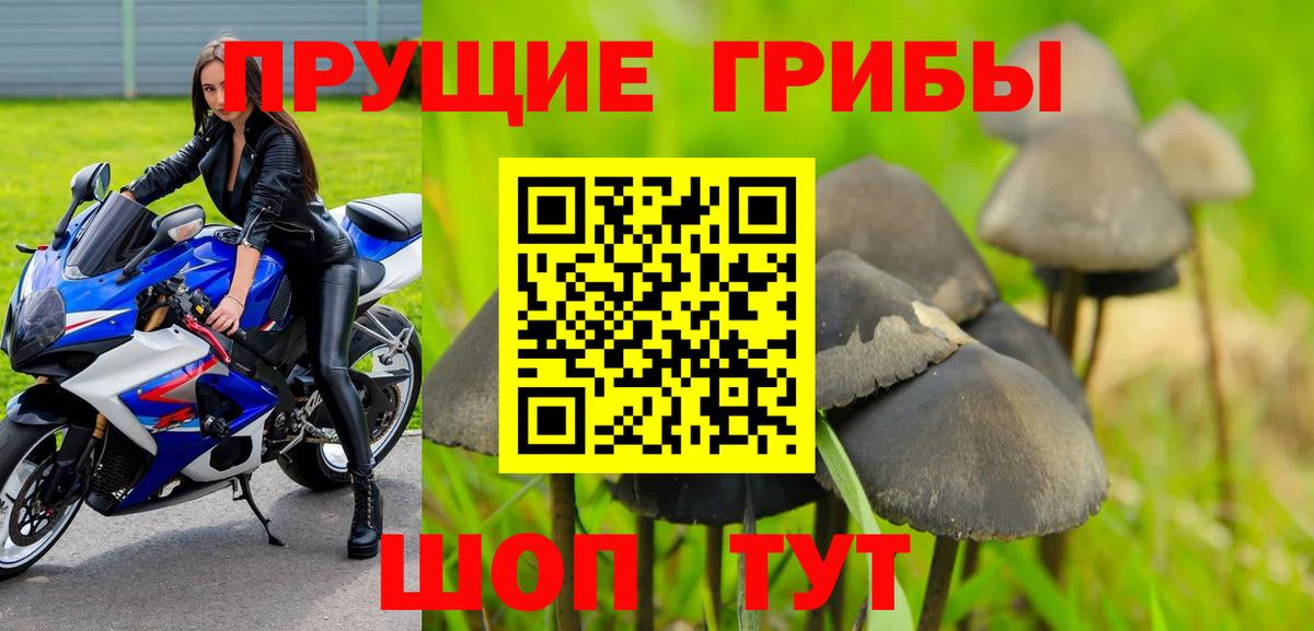 Псилоцибиновые грибы мухоморы Североуральск